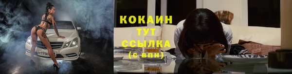 МДПВ Заводоуковск