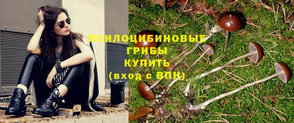 Альфа ПВП Заволжье